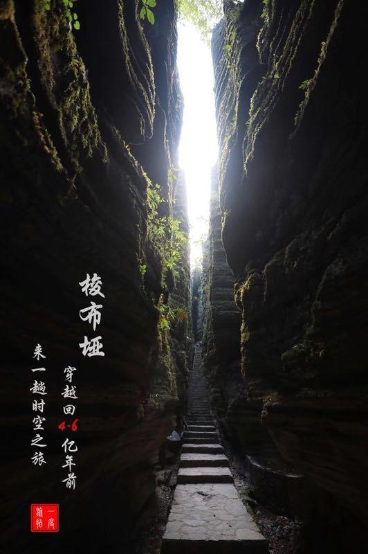 关于网友反映“三亚一流动摊贩卖水果缺斤短两”问题的调查情况通报